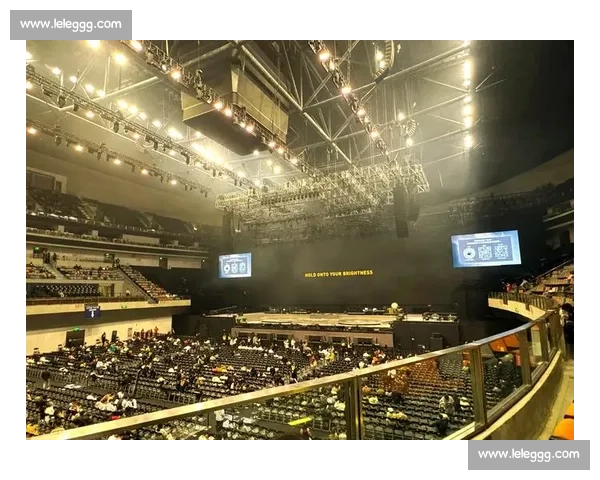 看台视角下观赛体验与运动氛围的全面解析与感受